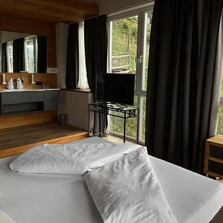 My Alpenwelt Hotel 4*